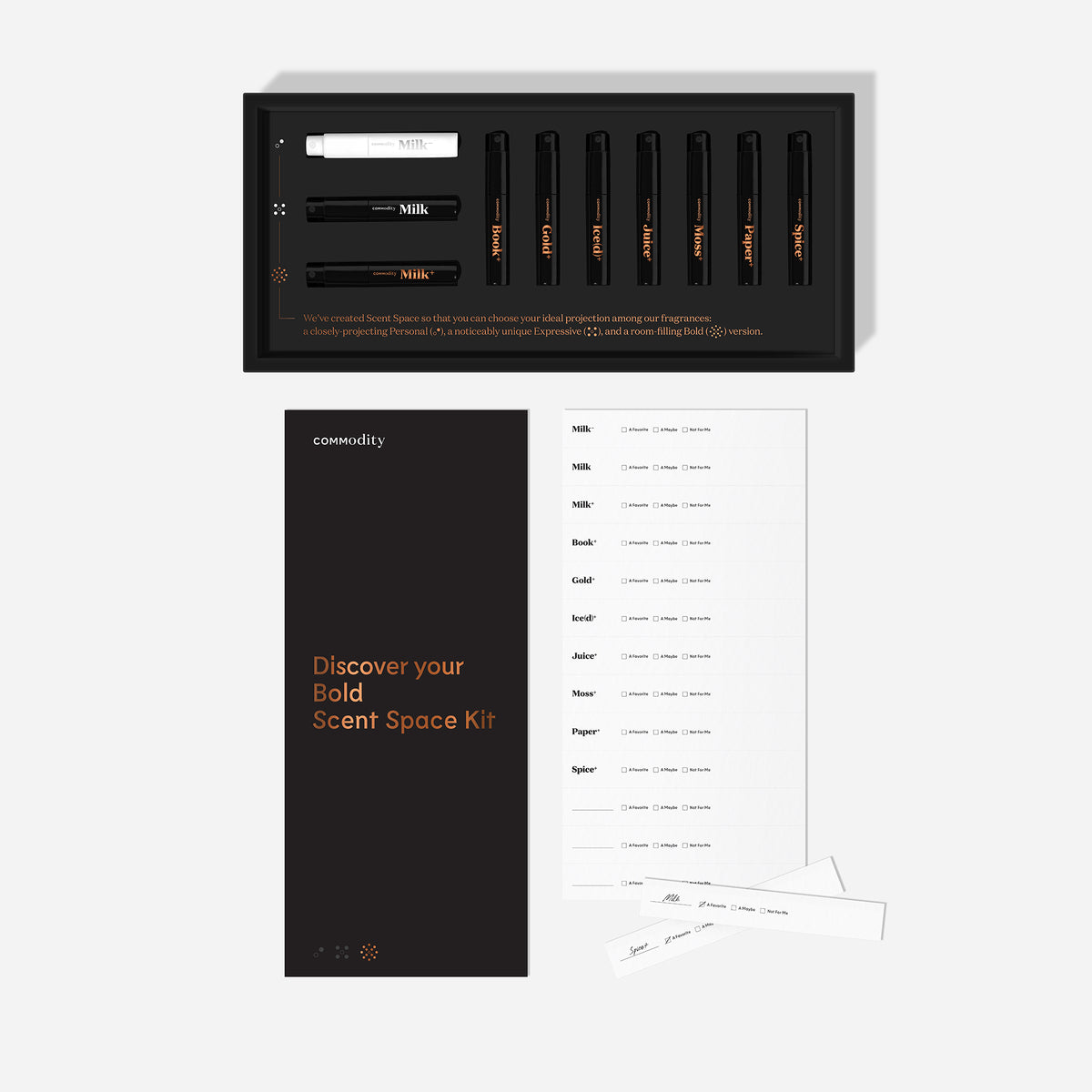 Bold Discovery Kit
