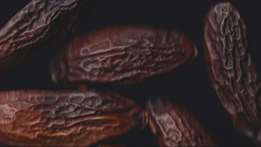 On That Note: What Does Tonka Bean Smell Like in Fragrance?