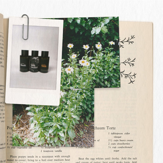 Mother’s Day Gift Guide: Fragrances for Every Woman in Your Life