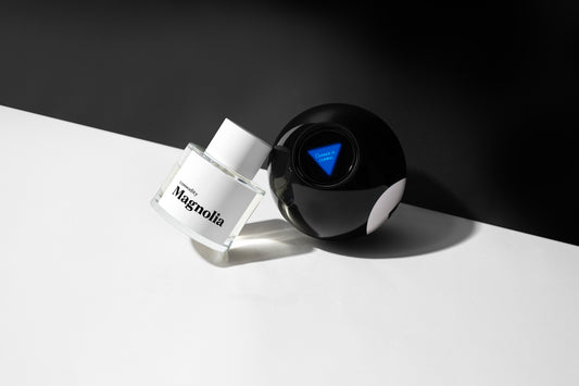 The Future of Our Archive Collection