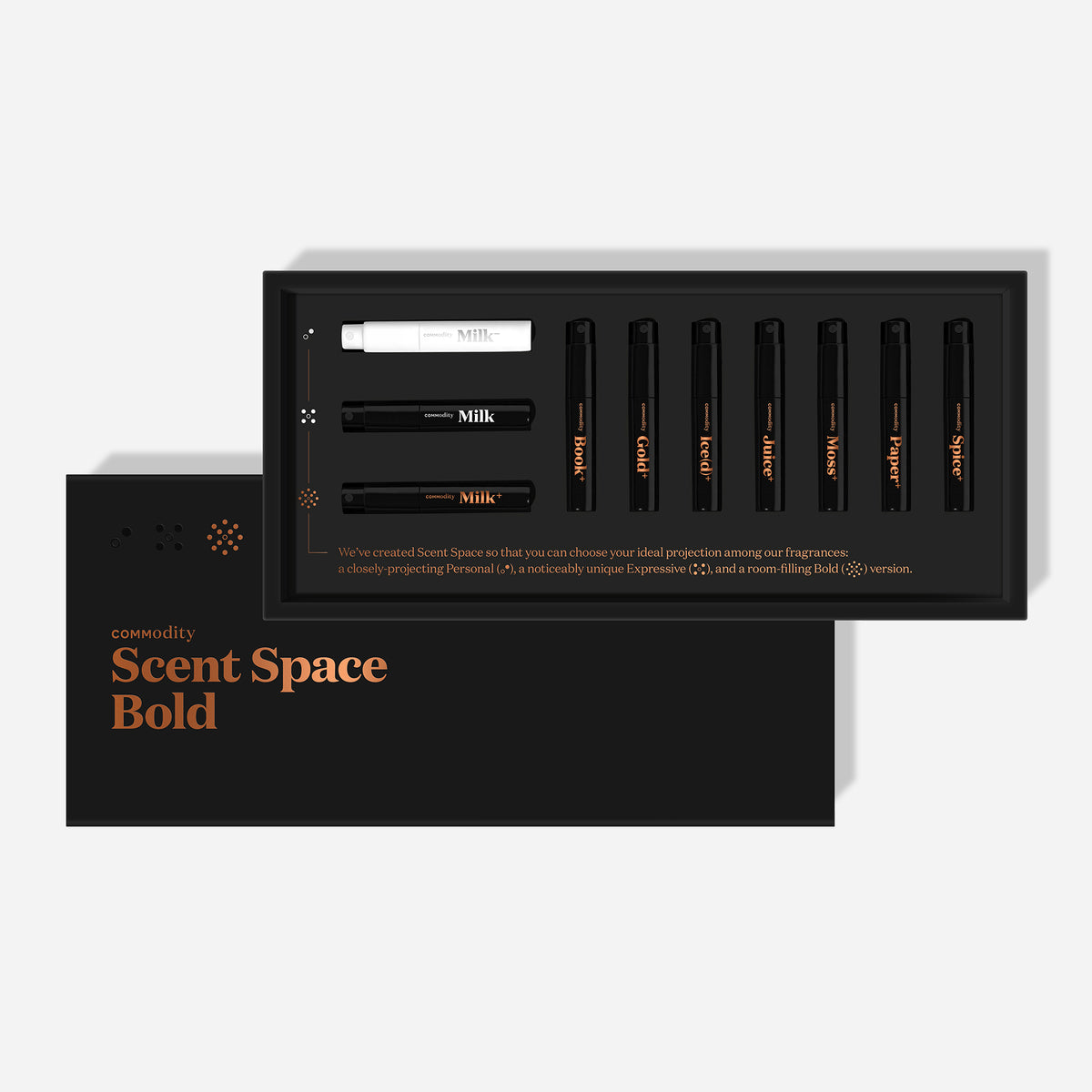 Bold Discovery Kit